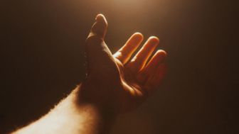 imagen: El origen del hombre