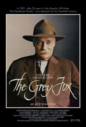 imagen: El zorro gris