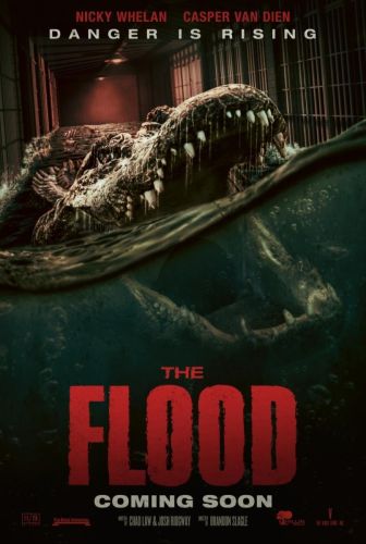 imagen: The Flood