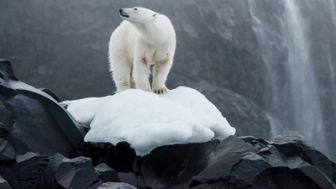 imagen: Guerreros de los océanos