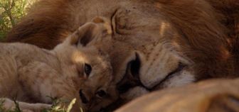 imagen: Historia de la vida