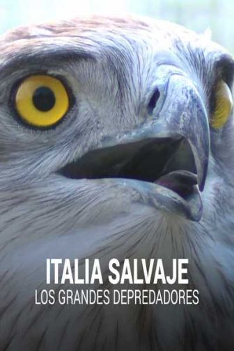 imagen: Italia salvaje. Los grandes depredadores
