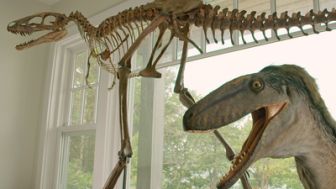 imagen: Jurassic Cash