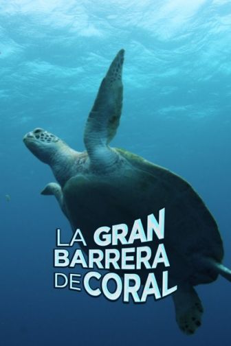 imagen: La Gran Barrera de Corall
