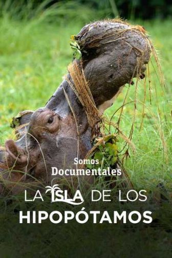 imagen: La isla de los hipopótamos