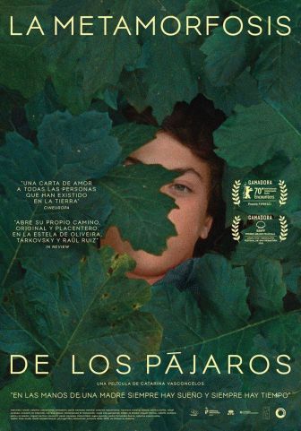 imagen: La metamorfosis de los pájaros
