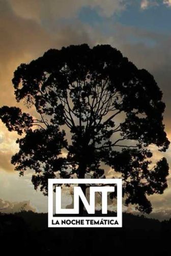 imagen: La noche temática