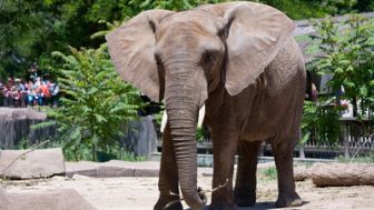 imagen: Los secretos del zoo