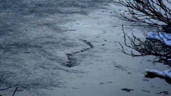 imagen: Monstruos de río: La leyenda del Lago Ness