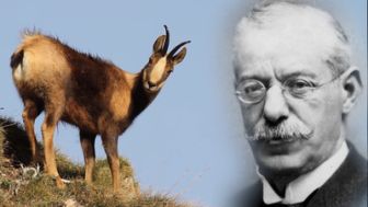 imagen: Ordesa y Monte Perdido, un siglo como parque nacional