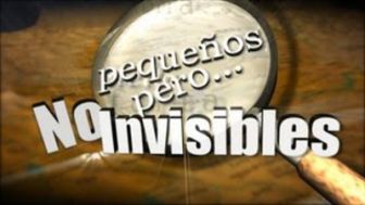 imagen: Pequeños, pero no invisibles