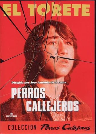 imagen: Perros callejeros