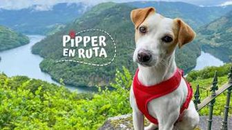 imagen: Pipper en ruta