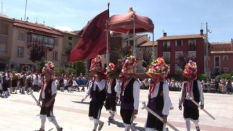 imagen: Raíces vivas