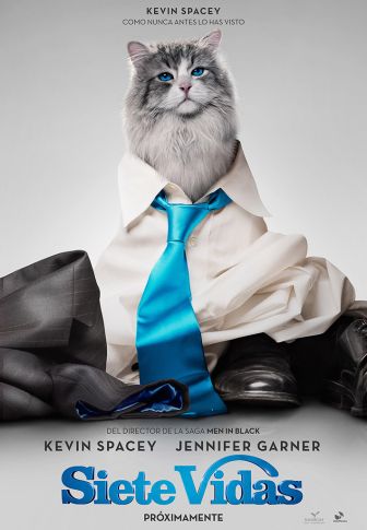 imagen: Siete vidas, este gato es un peligro