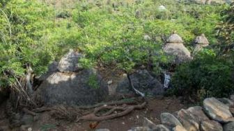 imagen: Sin equipaje