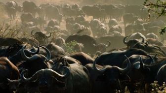 imagen: Tanzania, el último refugio