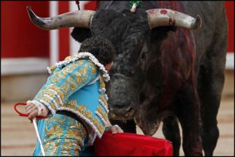 imagen: Toro, entre el estoque y la dehesa
