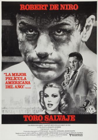 imagen: Toro salvaje