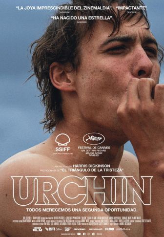 imagen: Urchin