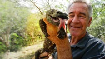 imagen: Wild Centroamérica