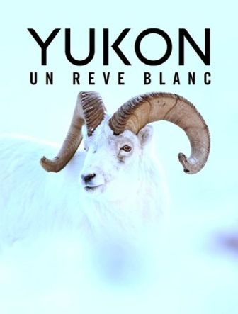 imagen: Yukon, un sueño invernal