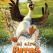 Cine Clan: Al aire, patos