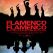 Flamenco, Flamenco