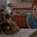 Un misterio para Aurora Teagarden: La paciencia de los huesos